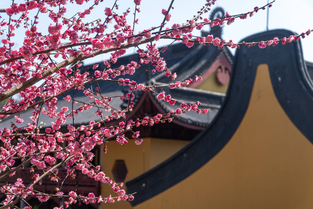 传承|灵隐寺的这幅对联有1700年历史，蕴含佛教哲理，一般人都不知道