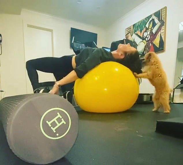 凯瑟琳50岁凯瑟琳.泽塔琼斯颜值崩坏?被嘲毁容像70,整容范本美人迟暮