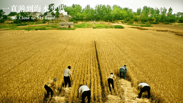喜剧|中秋档14部影片速览，朱一龙《峰爆》大热，于谦喜剧有望黑马??