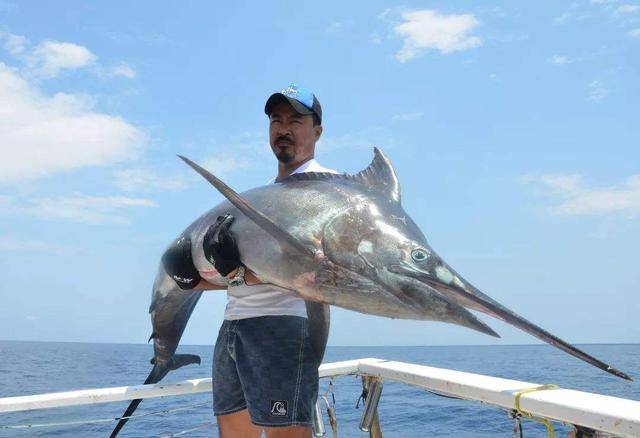 同类残食,胜利者将成为海洋一方霸主_长枪_速度_小鱼