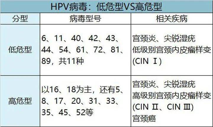 hpv疫苗你接种了吗二价四价九价要哪打一个呢