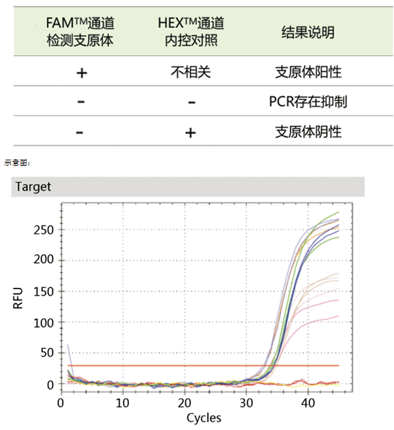 支原体dna越多,fam通道信号越高,检测内控对照的hex通道信号越低.