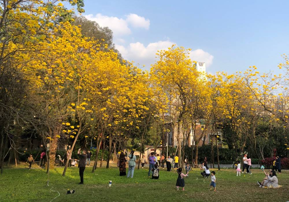 植物赏花拍照发圈，医生提醒：别忘了这件事