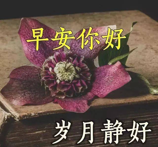 3月16日最美早安问候图片带字早安问候语简短一句话 生活 祝福 安康