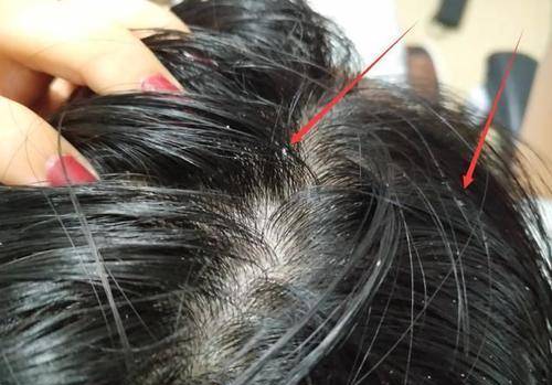 洗头有种整容叫“袁咏仪散发”，48岁比18岁更美，港姐气质瞬间上身