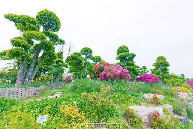 九龙湾花彩小镇，数十万花卉争相开放，是生态旅游的度假胜地