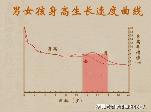 11岁男孩半年长高15厘米，儿科专家：坚持吃3物，孩子长高并不难