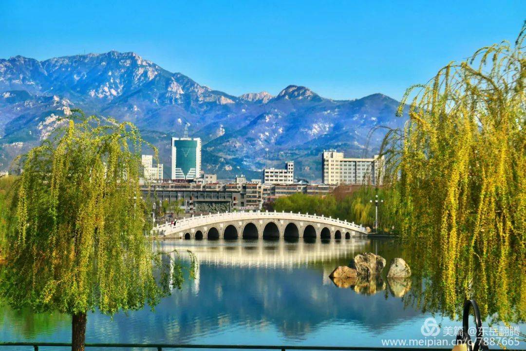 春意款款|泰山区春日好景正在送达_摄影_泰安_景区