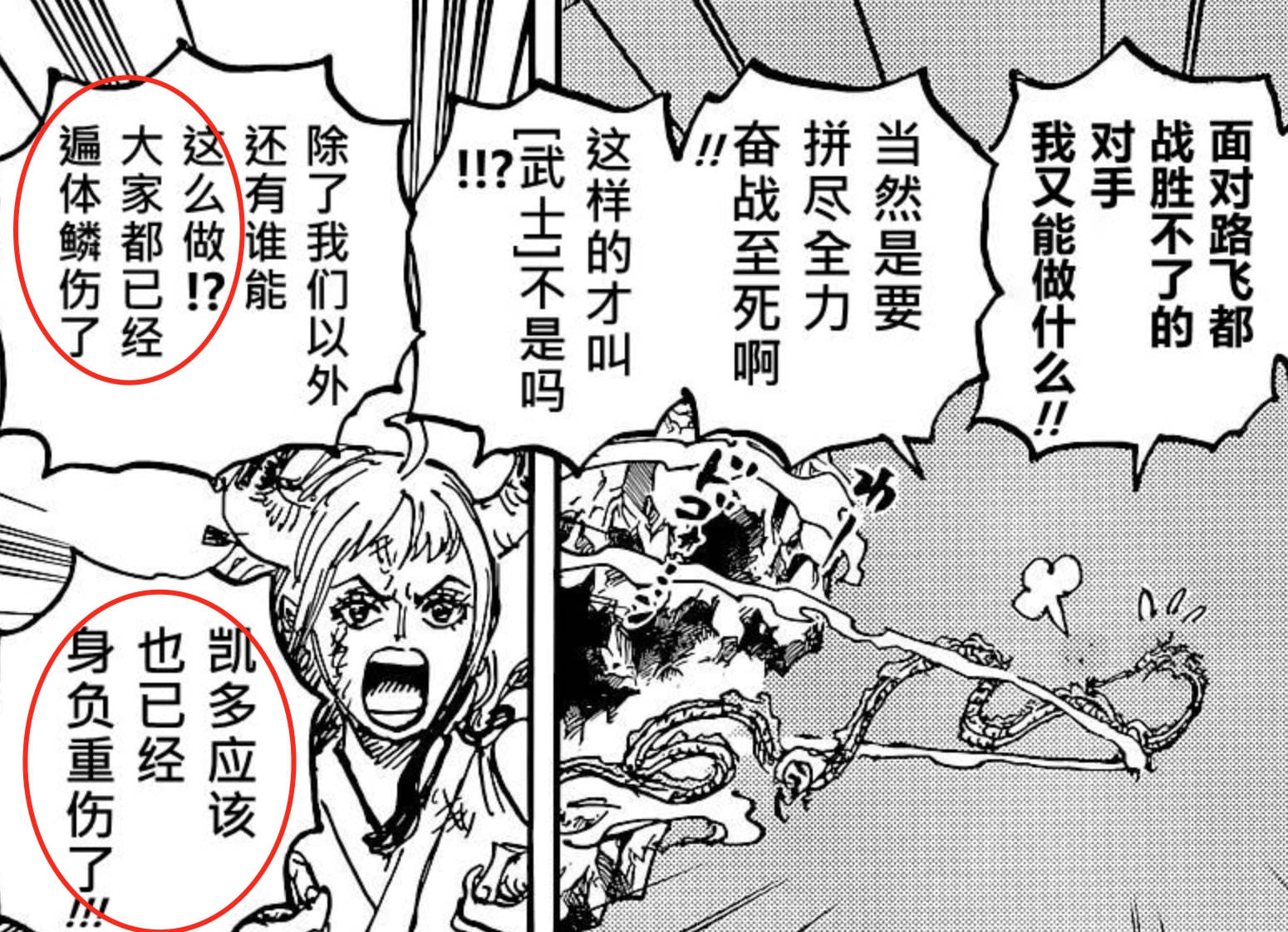 蜘蛛|海贼王1043话，罗和基德失去“体力挂”，大和直言凯多身负重伤