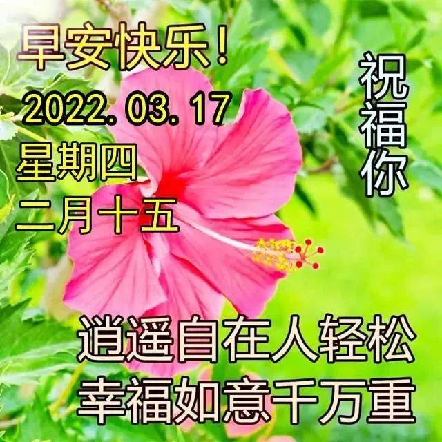 原創3月17日星期四清晨早上好問候祝福動態表情圖片週四最新早安問候