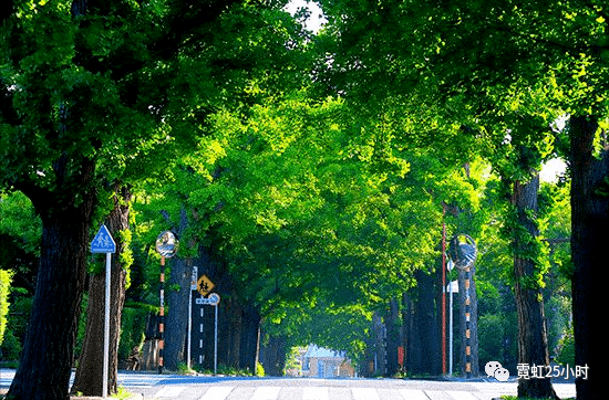 下落不明:只留下荒廢的豪宅……_住宅_日元_東京