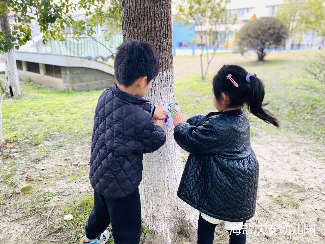 我和大树的故事诺亚舟庆安宜家花城幼儿园小班段植树节活动