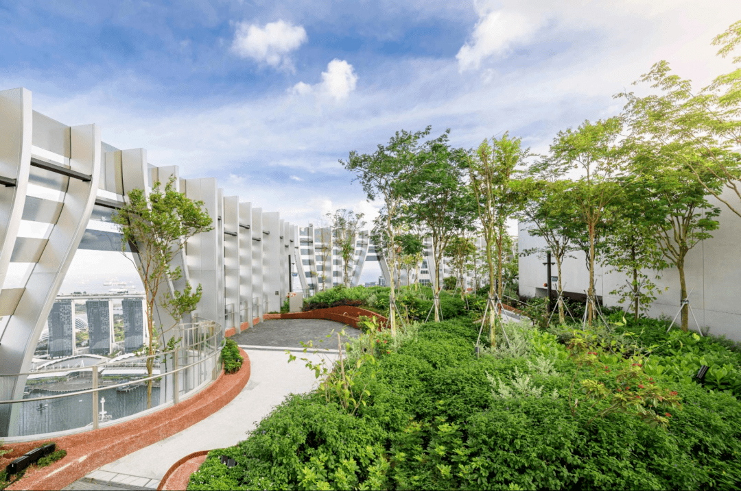 big新作新加坡最新地标竣工空中花园开放参观