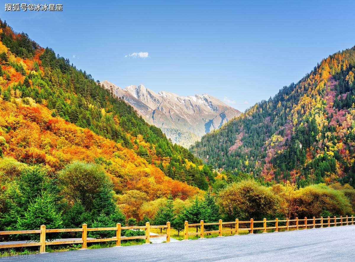 4月属鼠人整体运势人际关系应接不暇事业更上一层楼