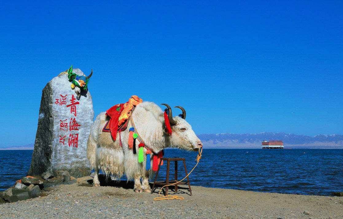 德都蒙古——蒙古族游牧他乡的辉煌