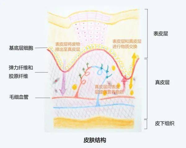 产品补水保湿每天都在做，为什么肌肤越来越干？