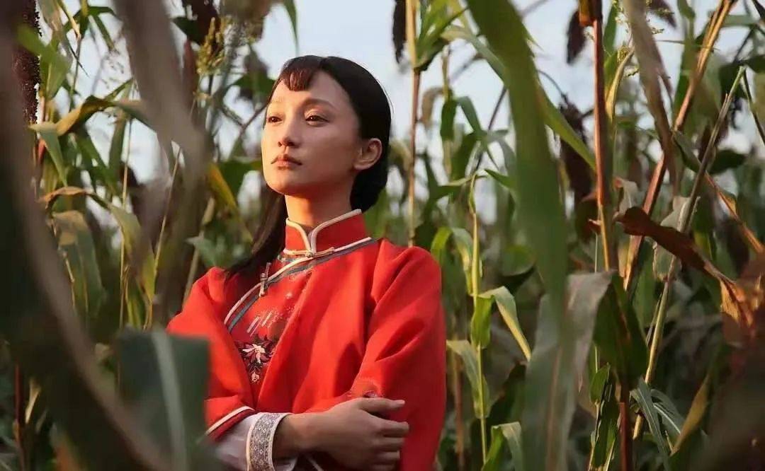老张|看过周迅版的《红高粱》，再和巩俐版一比，差距就出来了！