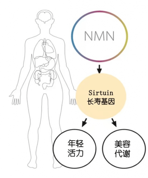 何能平打破外部抗衰的谎言，杉宝女性专研版NMN哪来的底气！