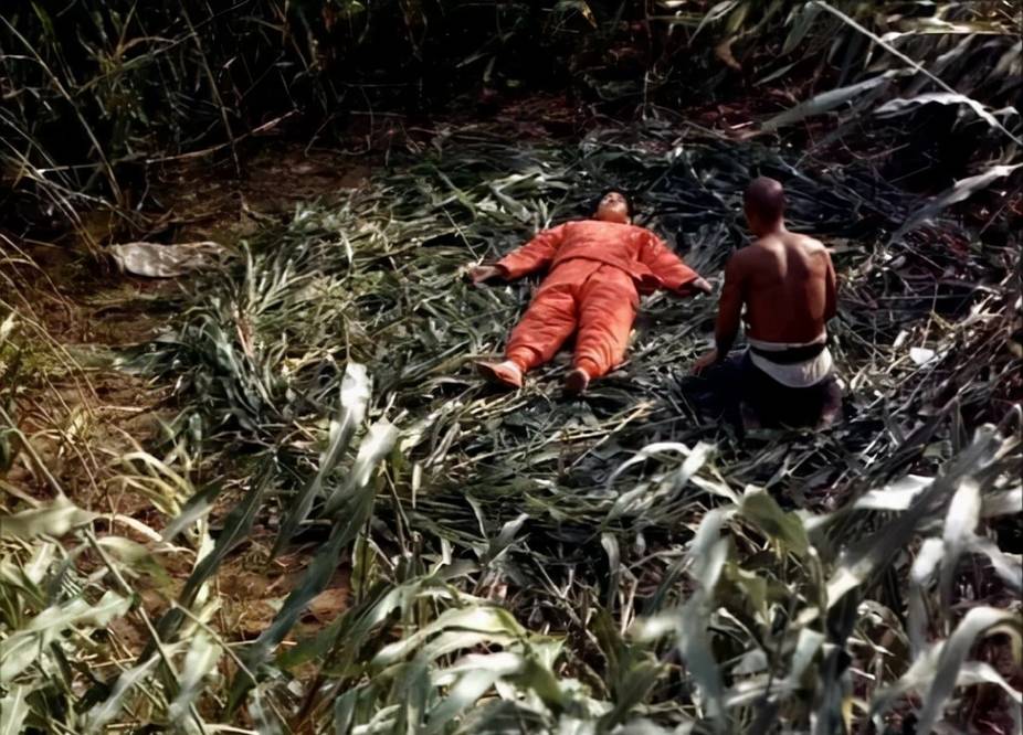 老张|看过周迅版的《红高粱》，再和巩俐版一比，差距就出来了！