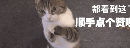 猫咪颜值最高的几种猫咪，是你家的猫吗？