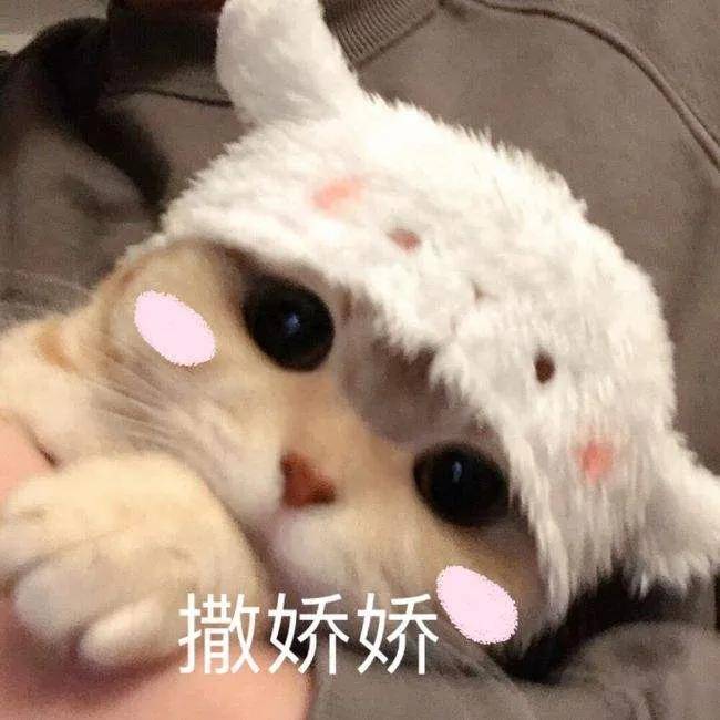 女人适当撒娇,是幸福的秘方之一_男人_生活_衣服