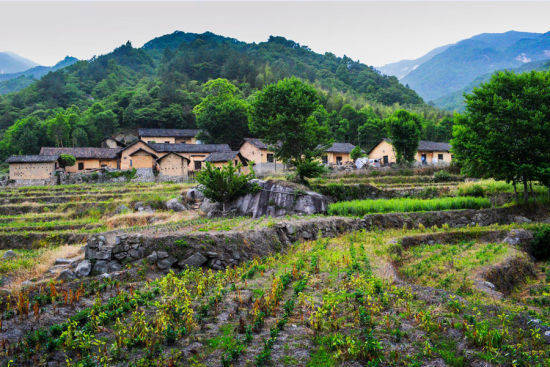 湖北最美村庄走红景色堪比香山凉爽宜人是旅游的理想地