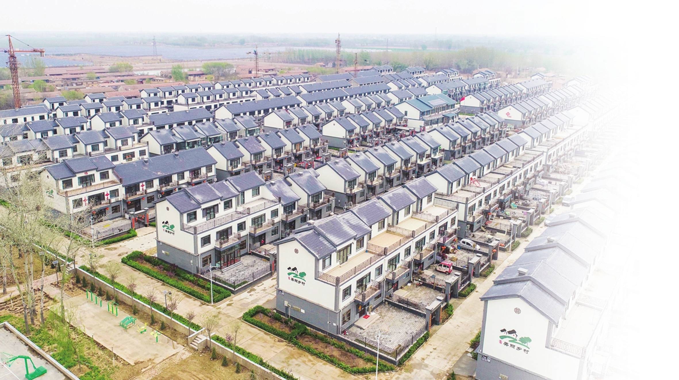 衡水市枣强县枣强镇奋力书写乡村振兴新篇章