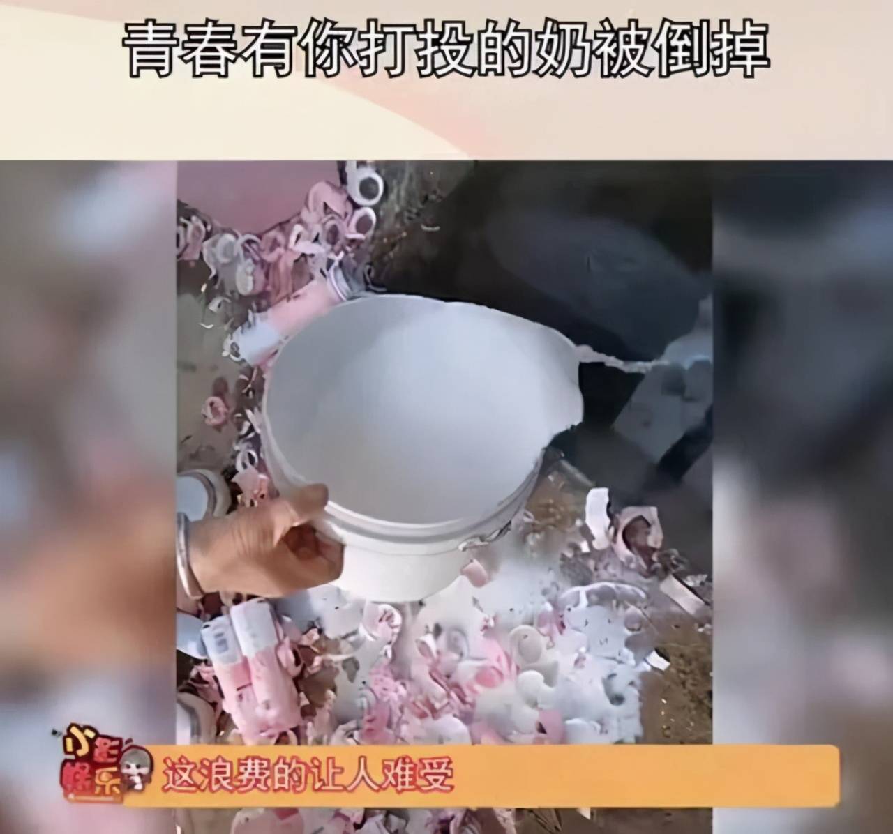 电影|《迷妹罗曼史》你看懂了吗？“迷妹”周冬雨，教你如何正确追星！！