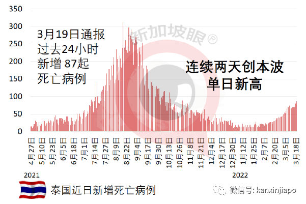东南亚首个吃螃蟹:国际旅客免检测,免隔离,重启落地签_印尼_病例_游轮