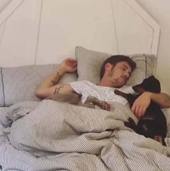 小狗别什么东西都往狗盆里放，会被嫌弃的