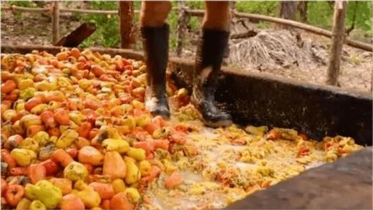 芬尼|3?15晚会未曝光的这5种美食,也是脚踩工艺,你是不是全吃过?