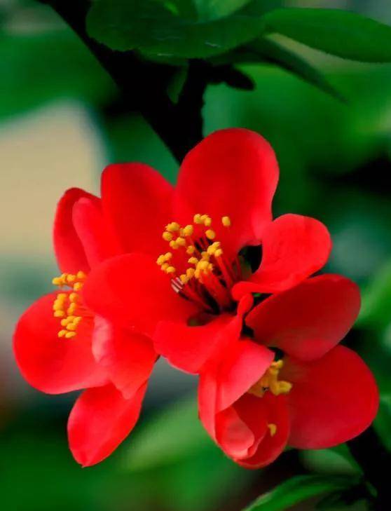 品牌|茅台是不是炒作?看看古代国酒价格,真不贵