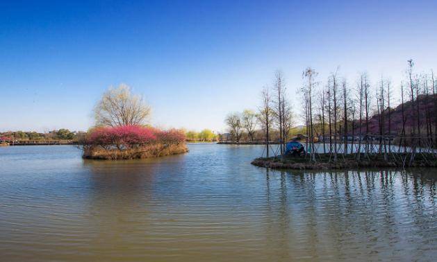 杭州有一湿地公园，与超山相邻，景色优美，还是杭州热门景区！