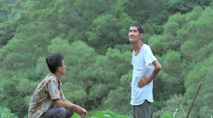 侯孝贤|台湾33年前的经典爱情片,豆瓣8.6分,女主扮演者24岁就息影