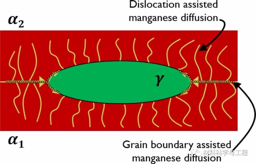 原創德國馬普所scriptamater中錳鋼臨界退火的奧氏體長大機制