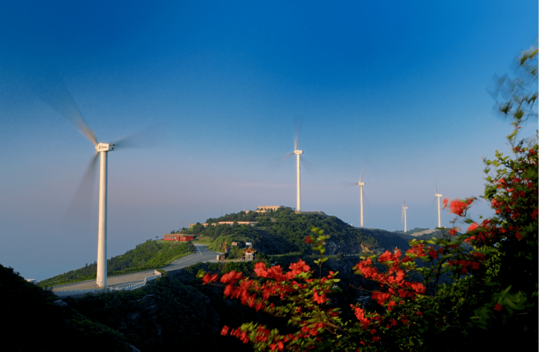 香约咸宁赏春花通山精品一日游线路