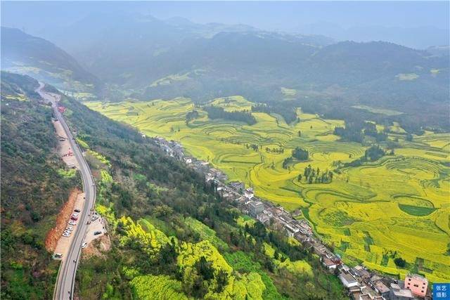 门票|罗平油菜花堪称东方大花园：满目金黄香百里，一方春色醉千山