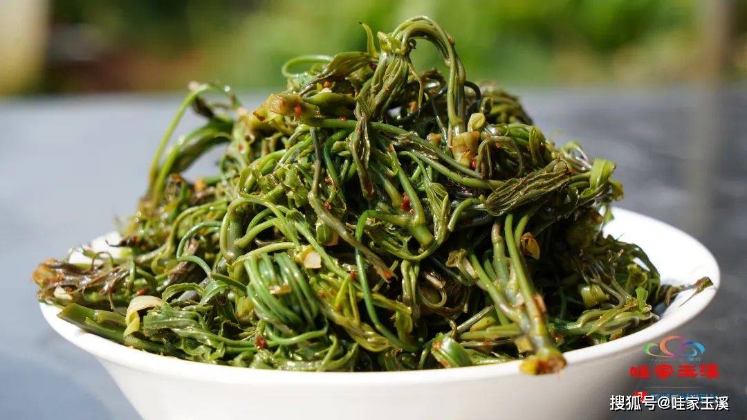 在玉溪有一种美味叫梁王茶尖