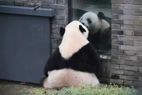 黑头想要做到0毛孔0黑头，你需要这么做！