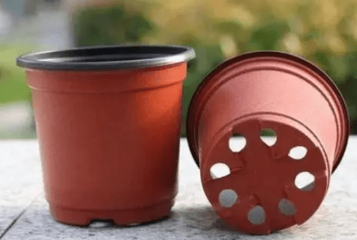 原创花盆底部的小洞有什么用盆栽养护注意事项