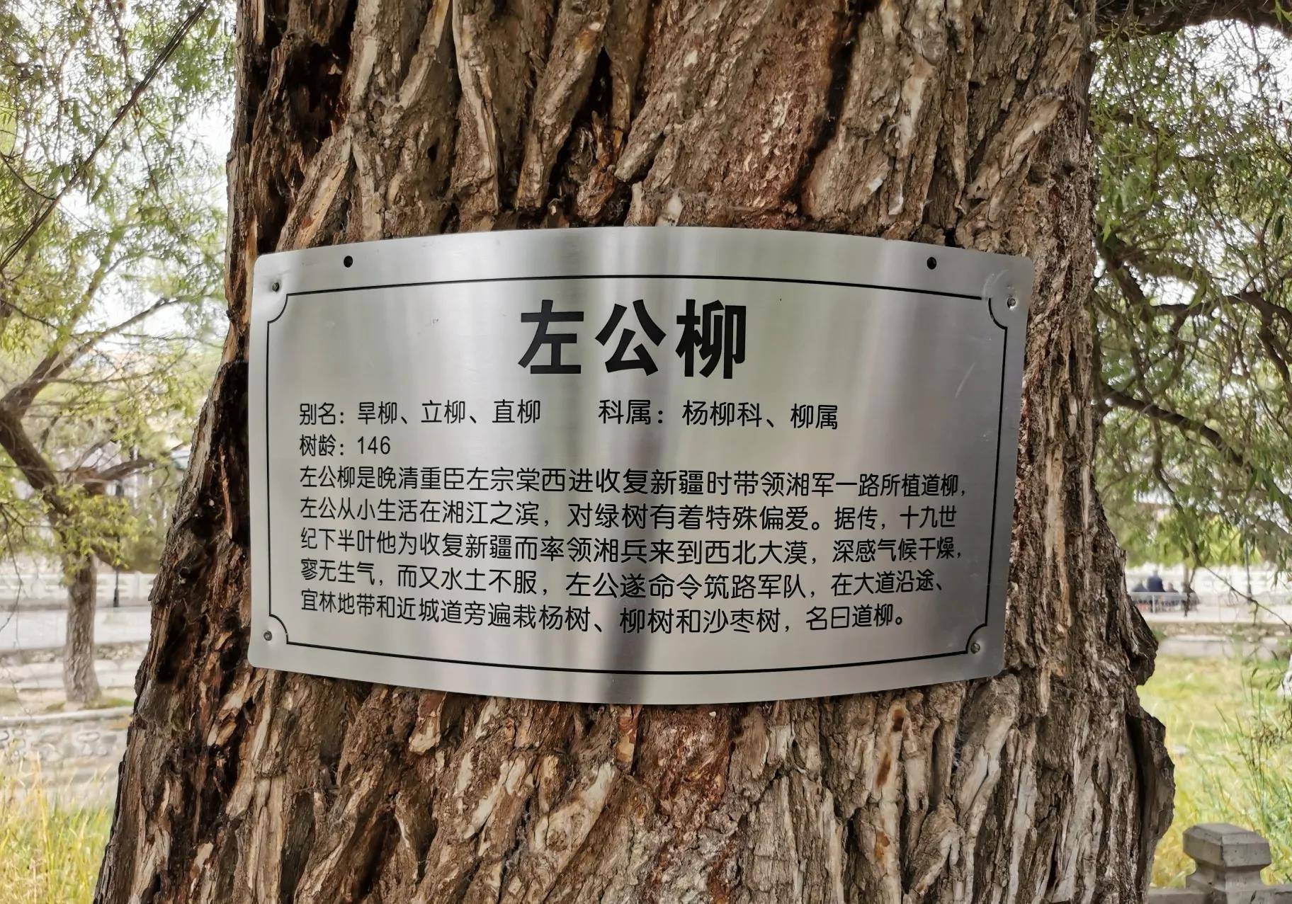 在小淹回湘阴的路上,左宗棠详细询问老农种植技术_新疆_农业_陶桄