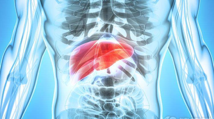 肝脏|乙肝，是肝癌的“入场券”：预防肝癌，主流的方法有3个