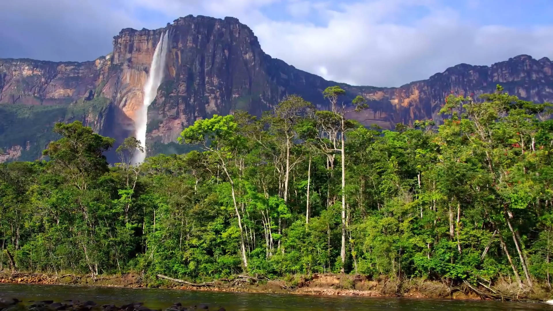 原创地球之肺亚马逊雨林为什么是人类禁区到底有多恐怖