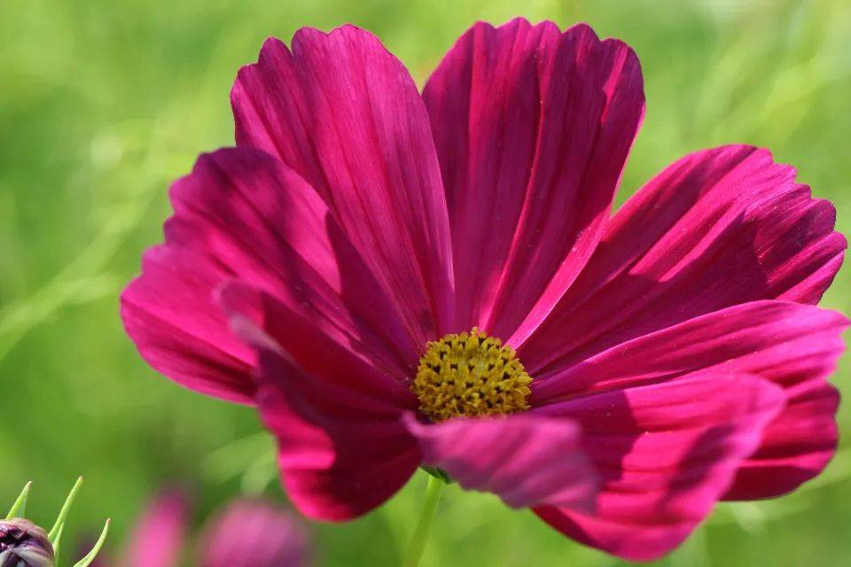 ​中国彩电大屏高端时代不美丽:结构上价格降企业难-家电圈官网