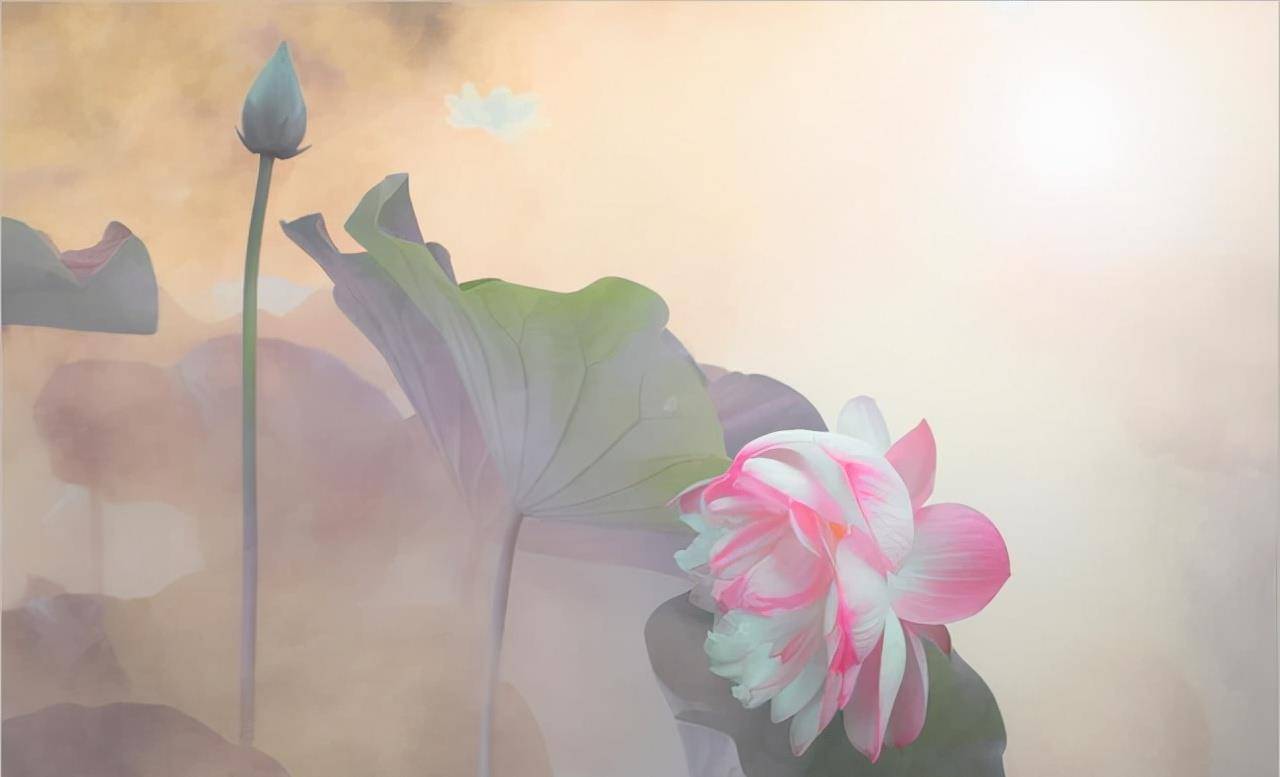 深入了解十二星座：探索每个星座的独特性格和特征 (十二心得体会)