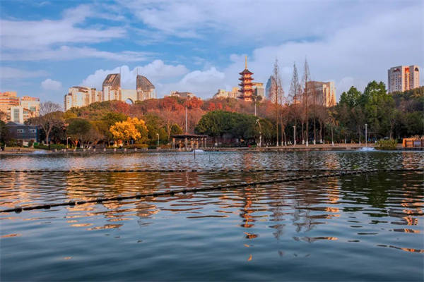 阳春三月邀您共赏温州九山公园茶花美景