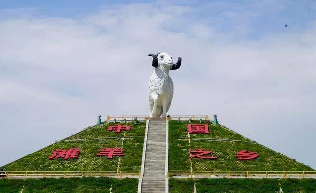 盐池滩羊区域公用品牌价值突破88亿元
