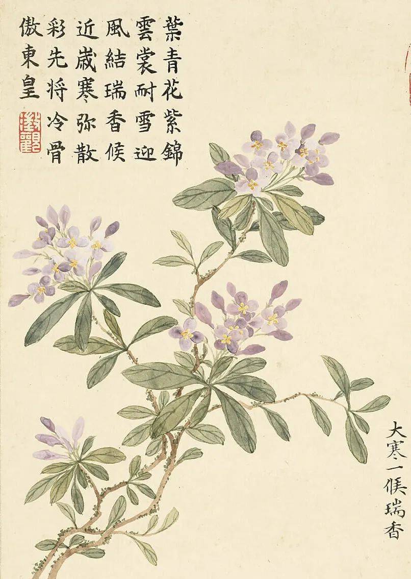 董诰二十四番花信风图