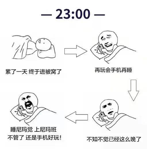 fd2048b798534393a2d2992d58554092.jpeg