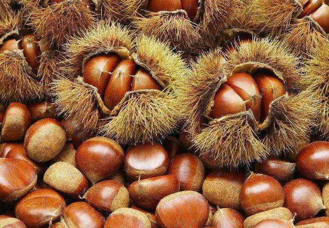 板栗的营养价值功效与作用 09ca23d910384828ba9db961ca923767.jpeg